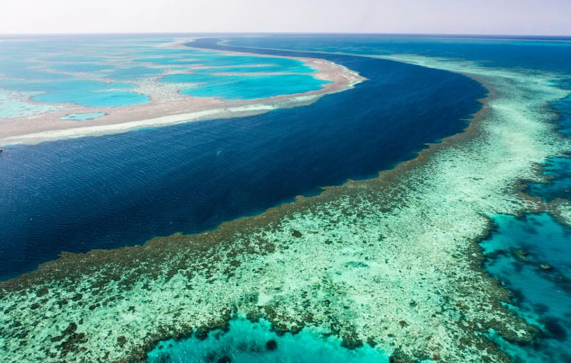 La Grande Barrière de Corail en Australie Image de l’article