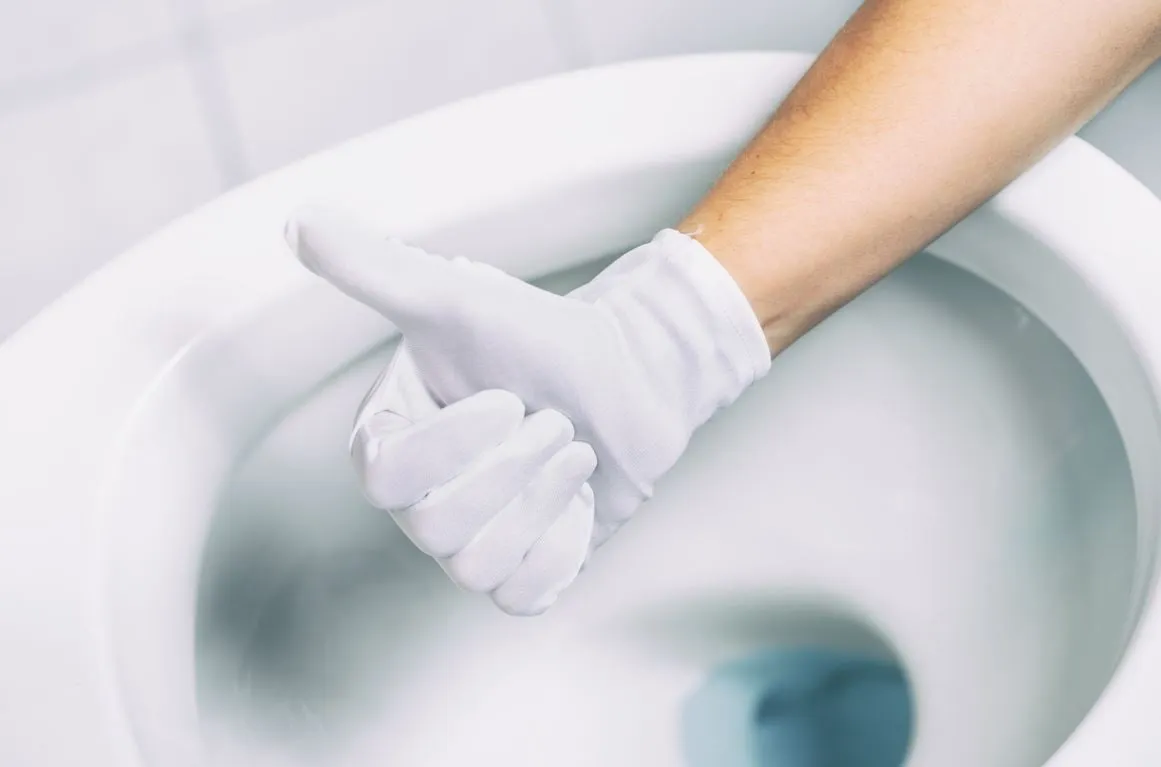 15 astuces pour détartrer des WC Image de l’article