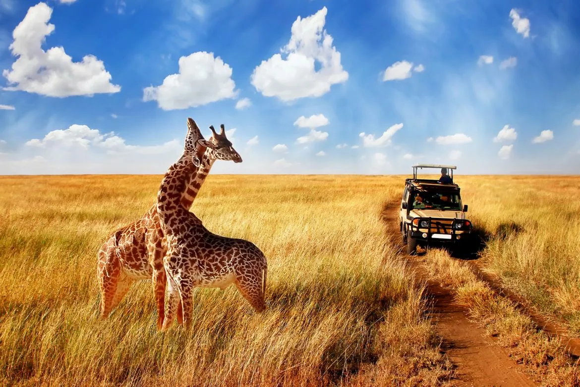 Que mettre dans sa valise pour un safari photo en Afrique ? Image de l’article