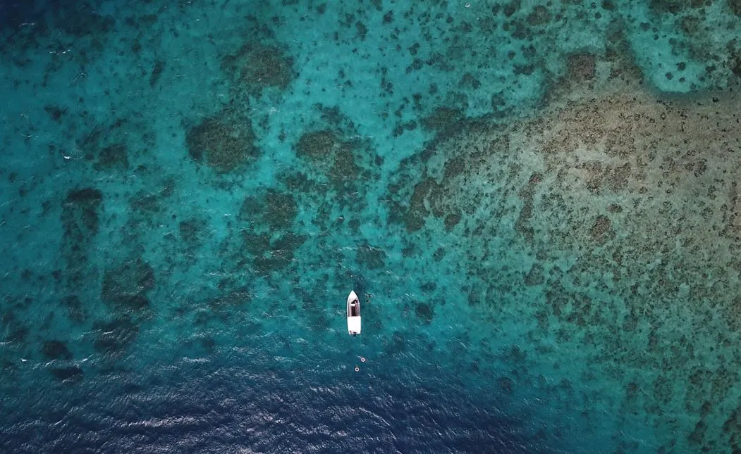 Où faire de la plongée en Martinique ? Image de l’article
