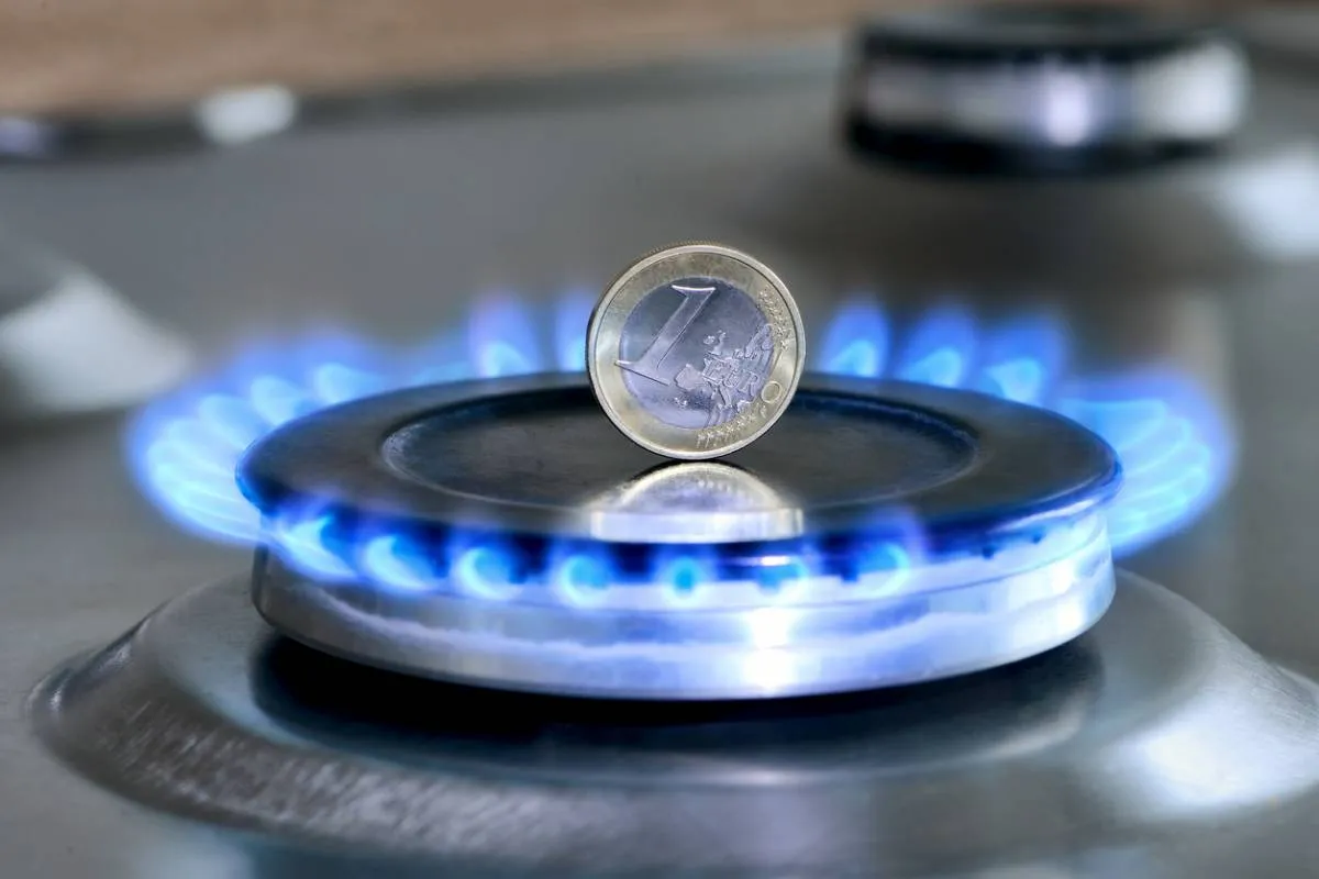 Tout connaître sur les tarifs du gaz Image de l’article