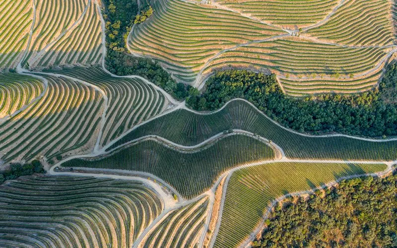 Road Trip Vallee Du Douro