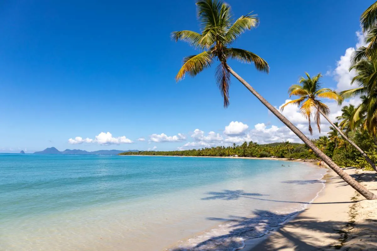 Liberté et détente en Martinique ! Image de l’article
