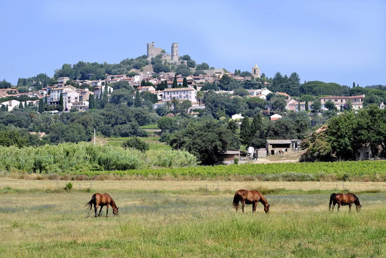 Que faire à Grimaud : top 12 des activités incontournables Image de l’article