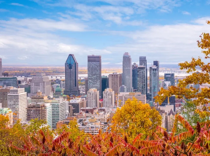 Que faire à Montréal ? Le top 30 des activités incontournables ! Image de l’article