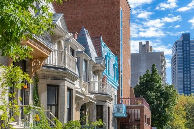 Les activités passionnantes à faire sur le Plateau Mont-Royal Image de l’article