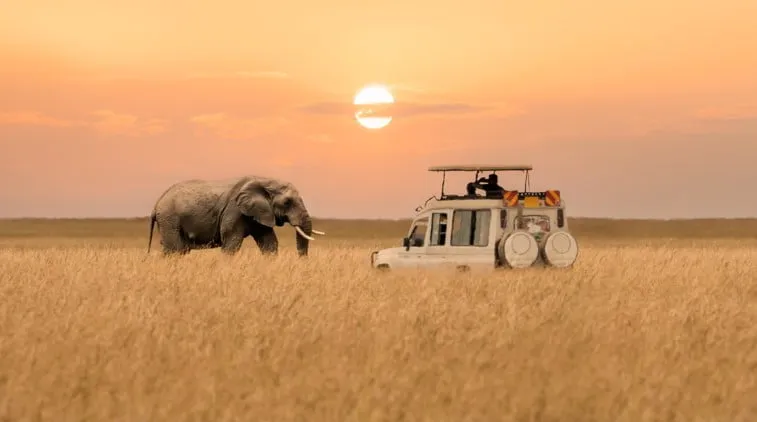 Le top 10 des choses à faire au Kenya durant un séjour Image de l’article