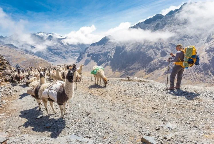 Les étapes pour bien préparer son séjour en Bolivie Image de l’article