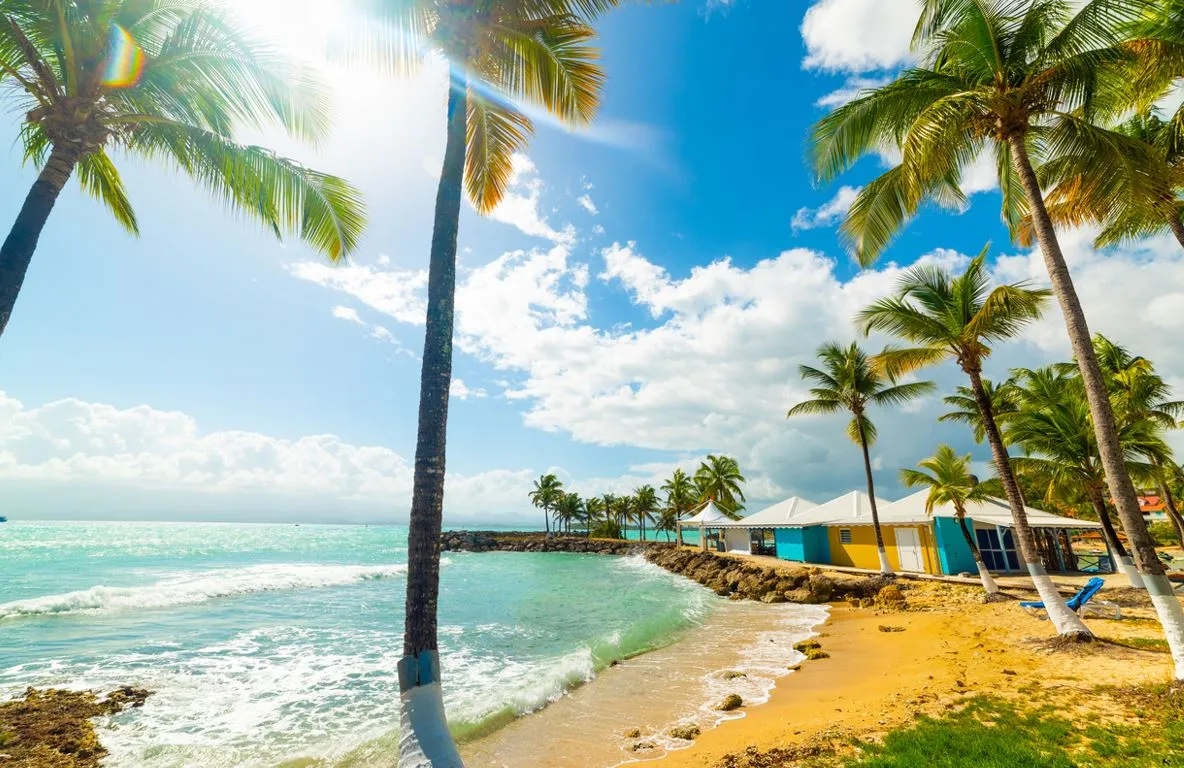 Quand partir à la découverte de la Guadeloupe ? Image de l’article