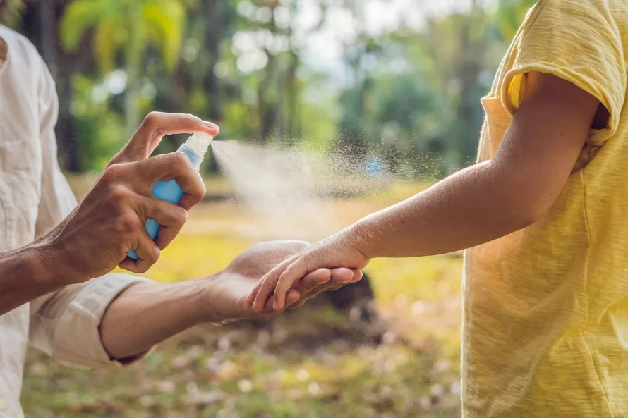 5 conseils contre les piqûres de moustique en Asie ! Image de l’article