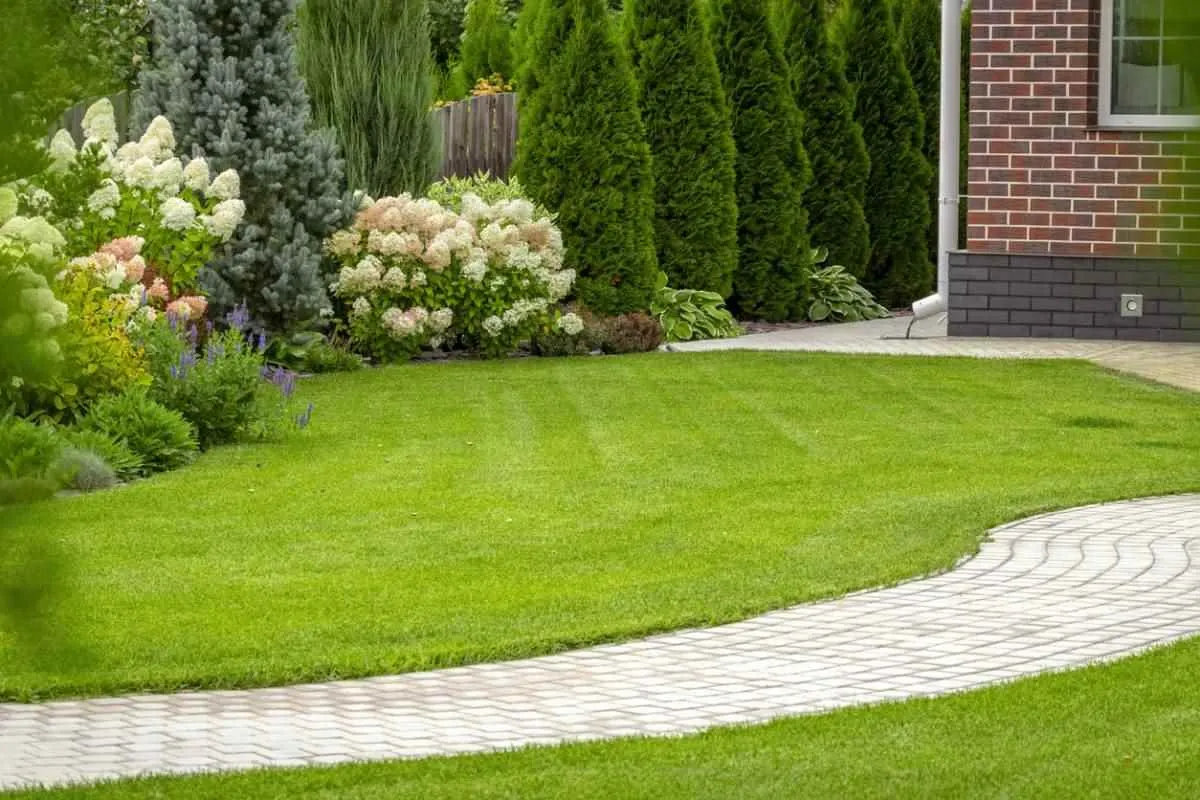 Allées de jardin, comment les mettre en valeur ? Image de l’article