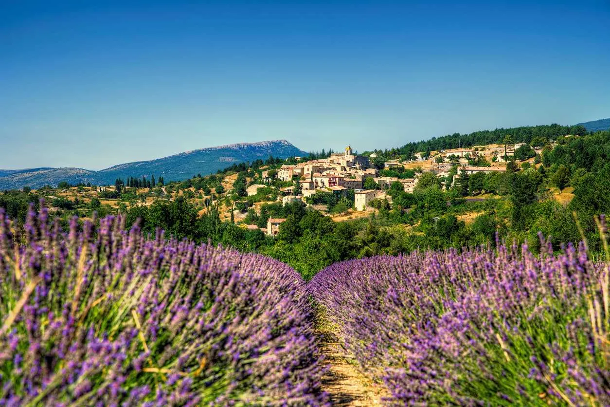5 bonnes raisons de partir en vacances dans la région PACA en 2024 Image de l’article