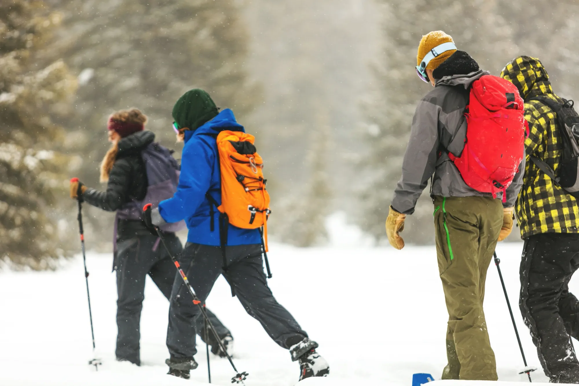 Où faire de la raquette dans le Vercors ? Image de l’article