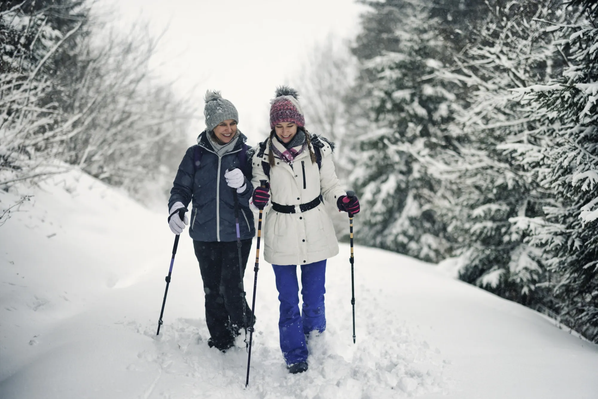 Nordic Walking à Briançon : une activité incontournable en 2024 Image de l’article