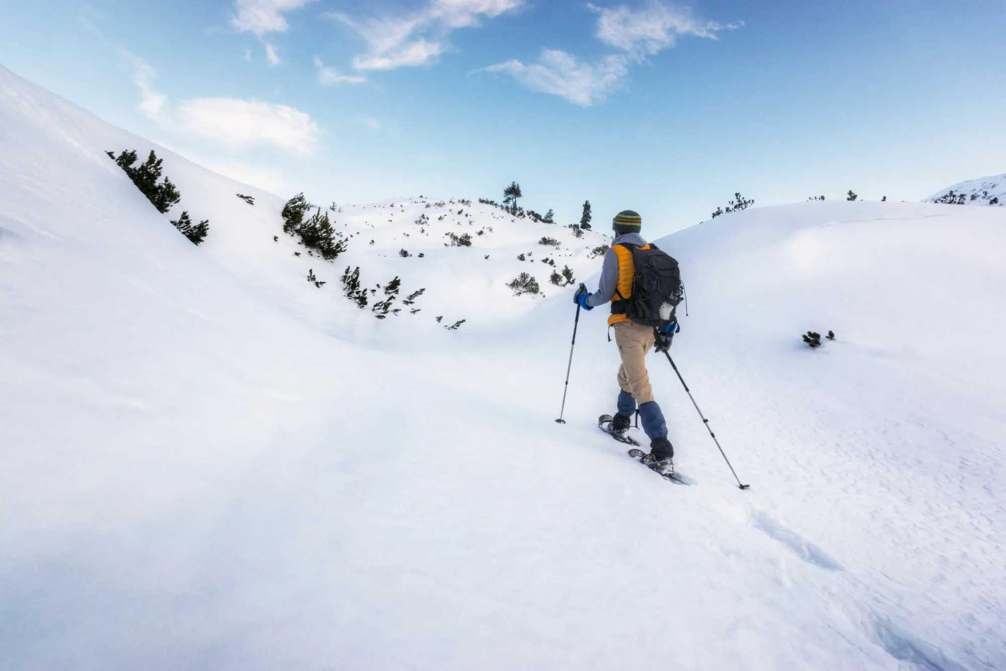 Circuit en raquettes dans la vallée des Loups : une communion avec la nature Image de l’article
