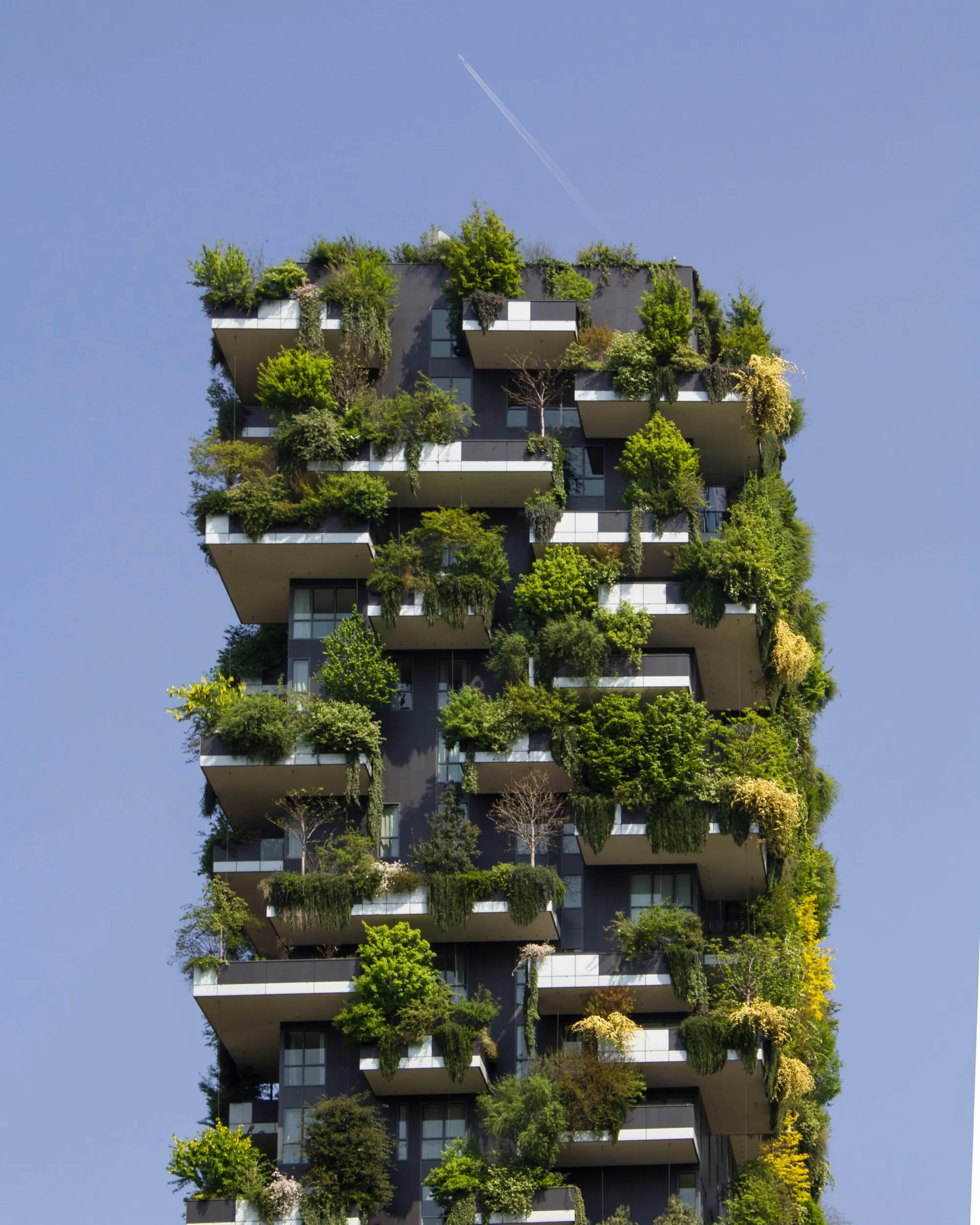 Écologie et maison : 10 astuces pour un logement éco-responsable Image de l’article