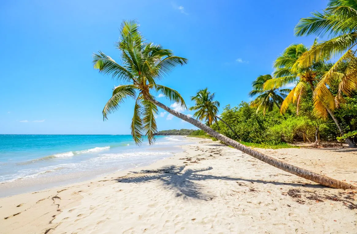 Plage Martinique