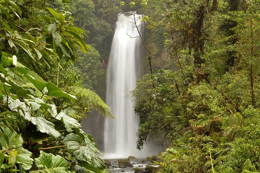 Cascades Paz Waterfall Gardens 