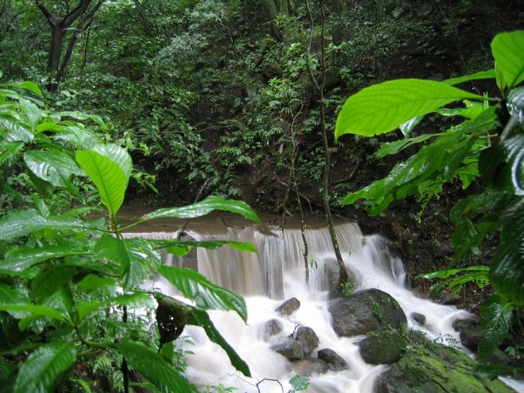 Parc National Rincon Vieja