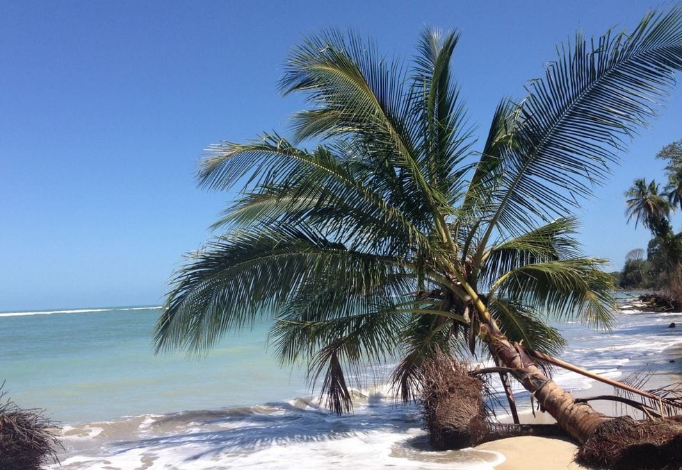 Plage Ensoleillée Costa Rica