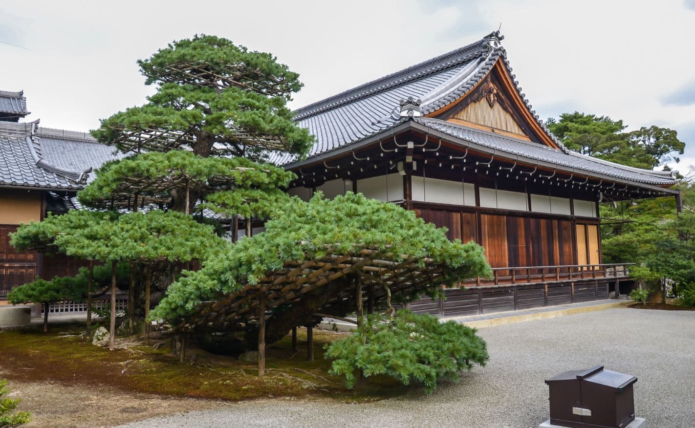Kinkaku Ji 