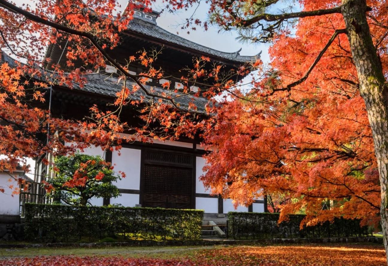 Tofuku Ji 