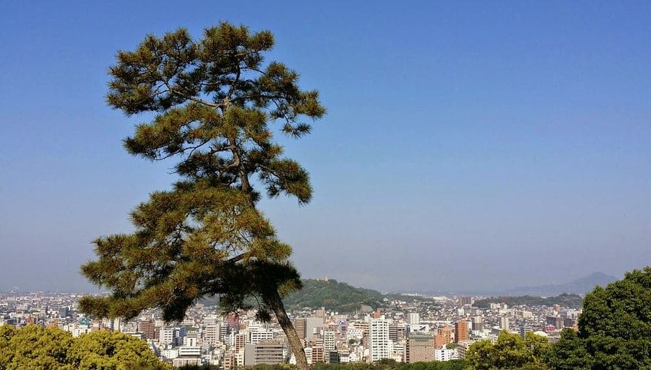 Shikoku