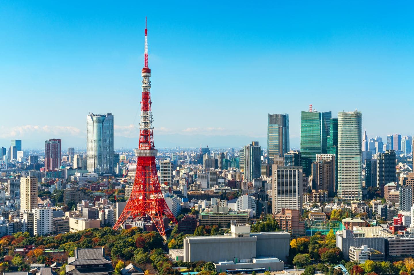 Tour De Tokyo 