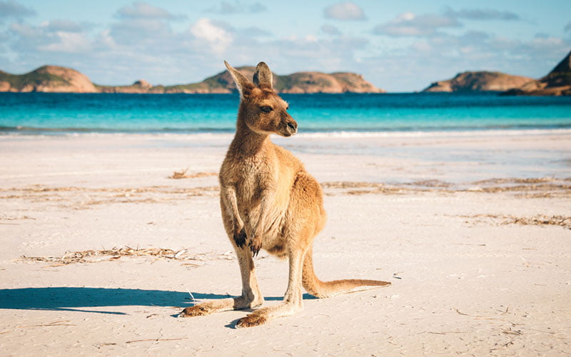 Voyage Australie