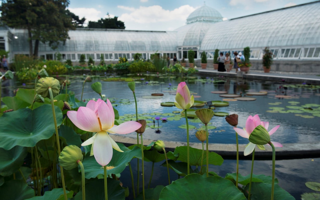 New York Botanical Gardens
