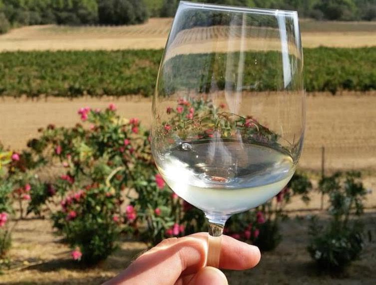 Les Caves De Cava Barcelone