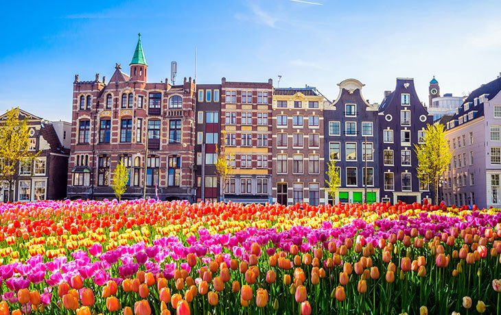 Amsterdam Au Printemps