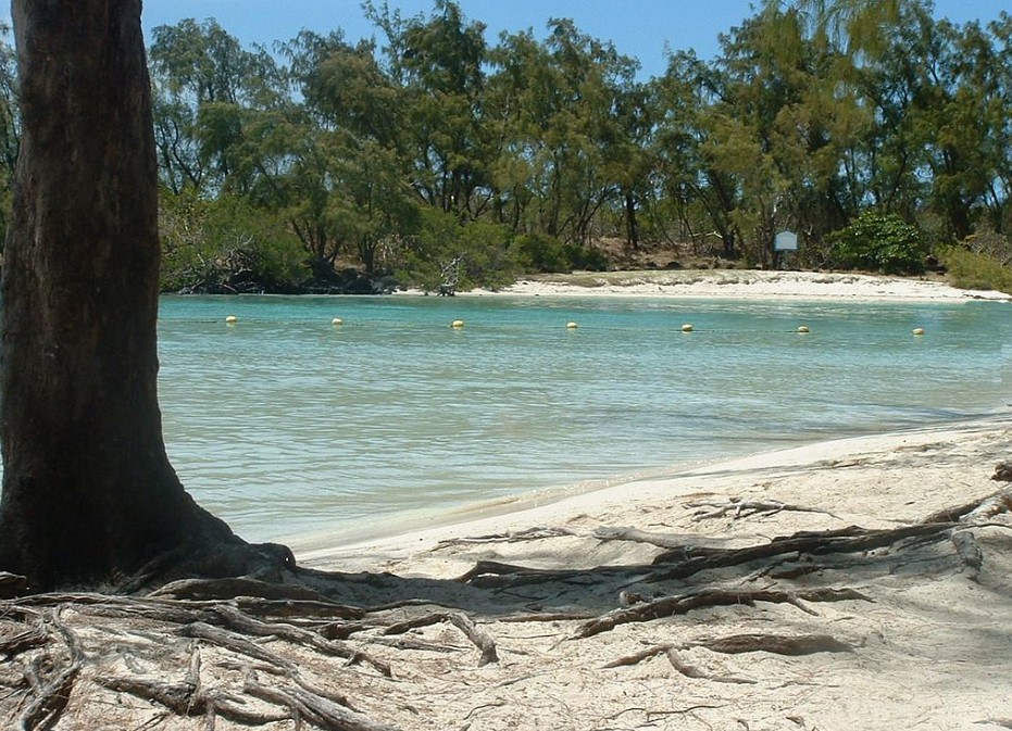 Ile Maurice Ile Aux Cerfs