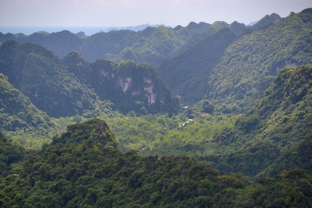 île De Cat Ba