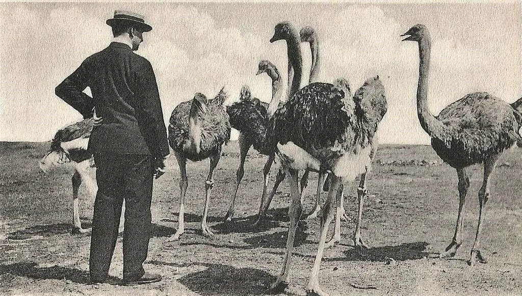 4 of the Most Bizarre Events in History that Prove Life Is Just Plain Weird