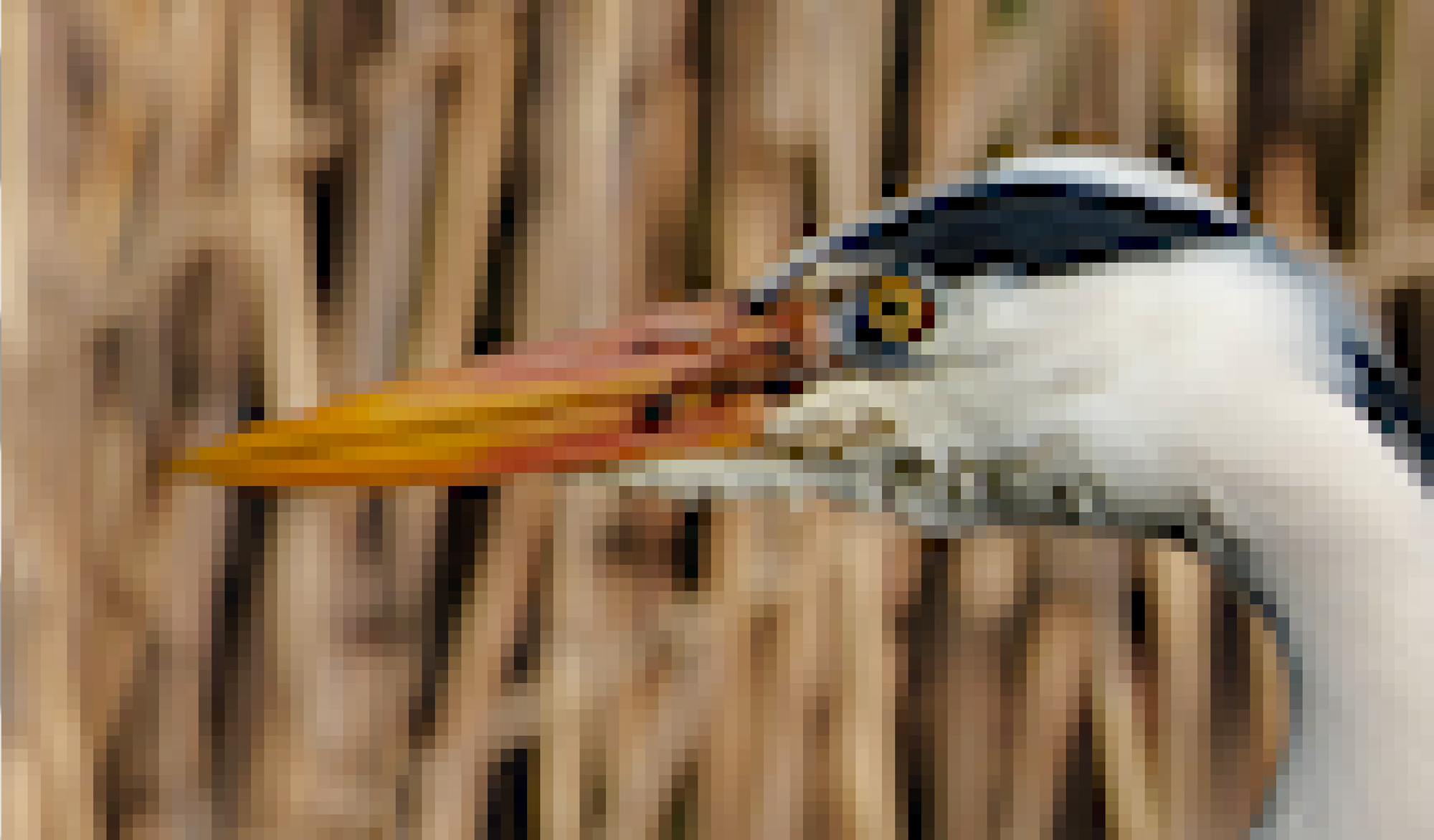 The Rest is Pixels