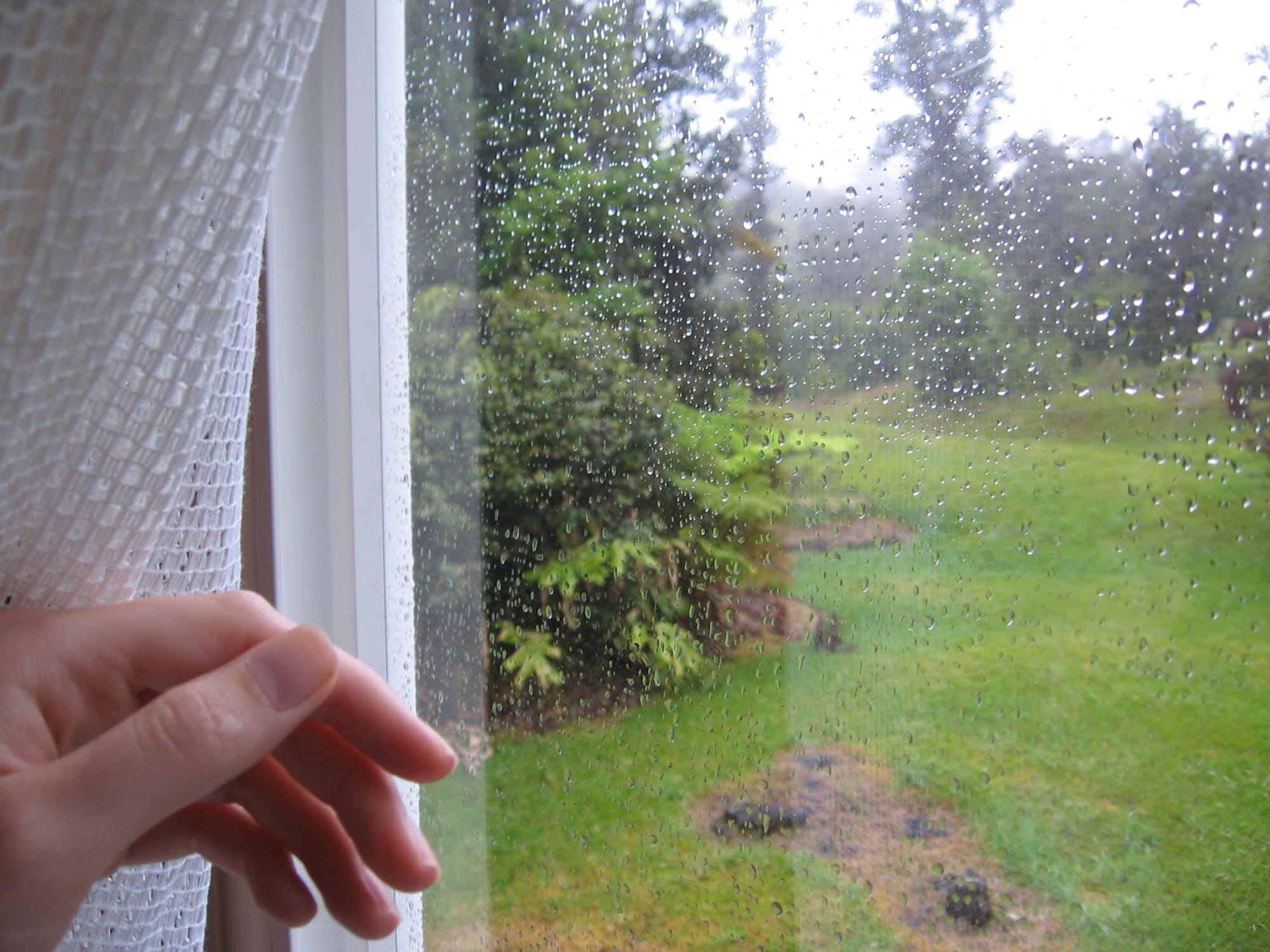 A hand pulls aside a curtain to look through the window of a home, revealing rainy weather outside