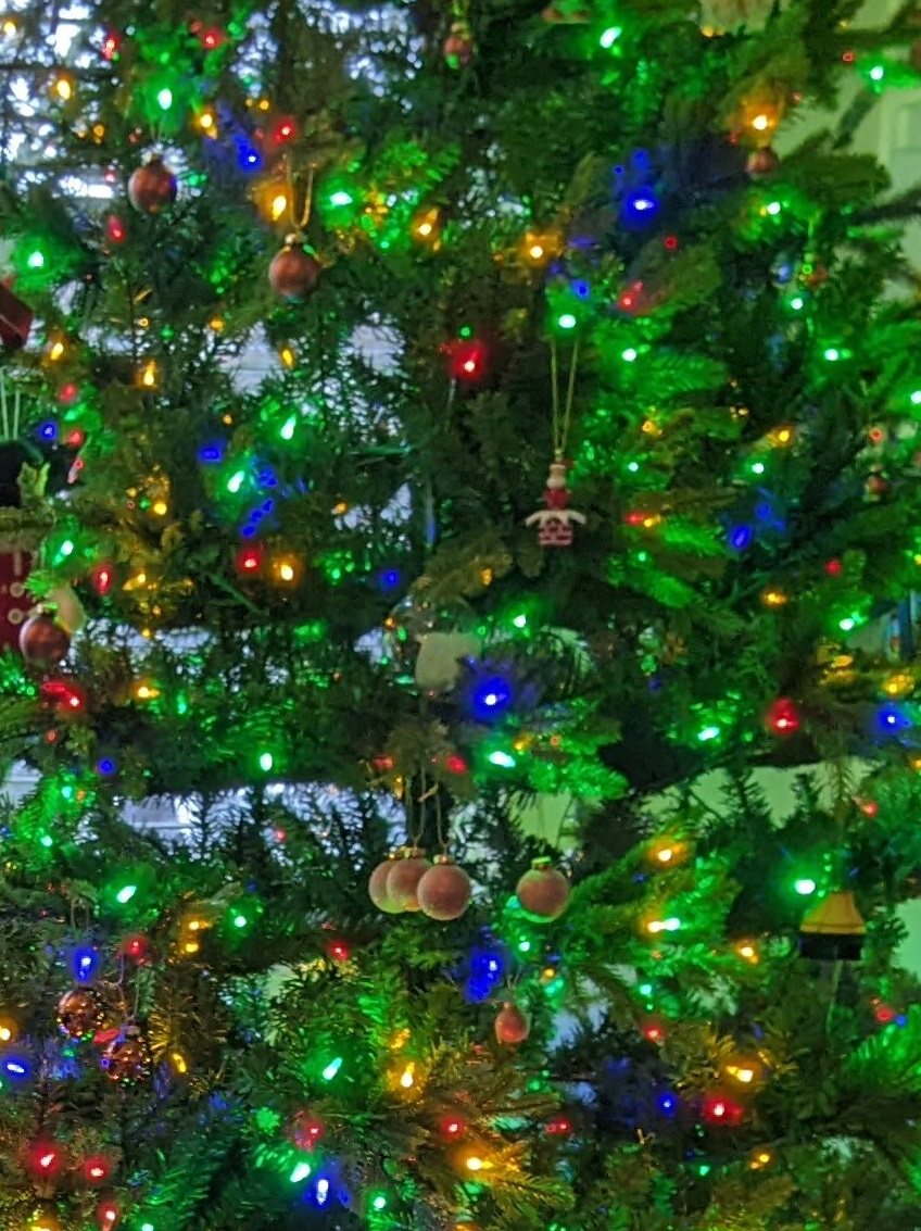 Close-up of a lit, decorated Christmas tree