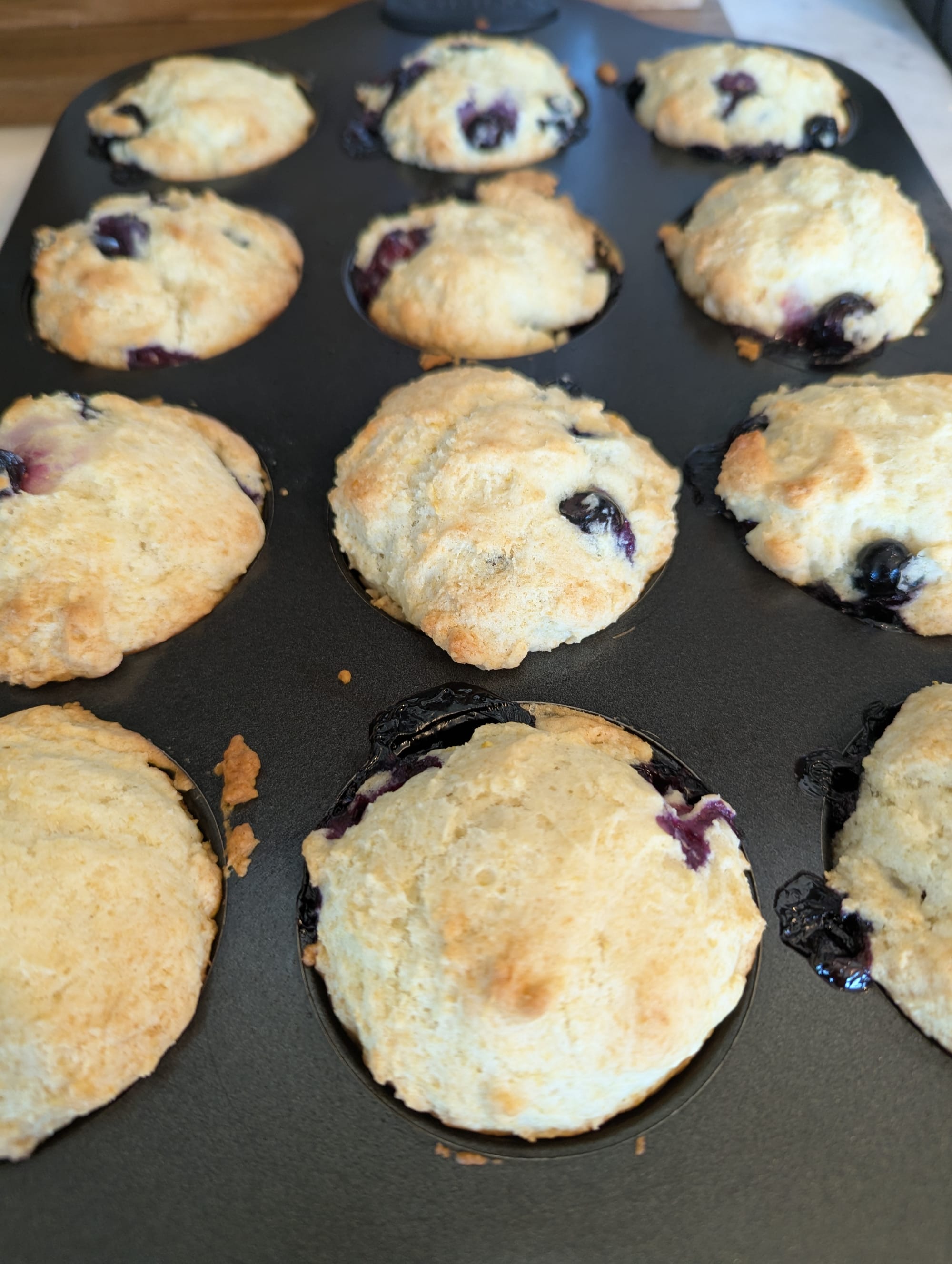 Close-up view of blueberry muffins still hot in the pan
