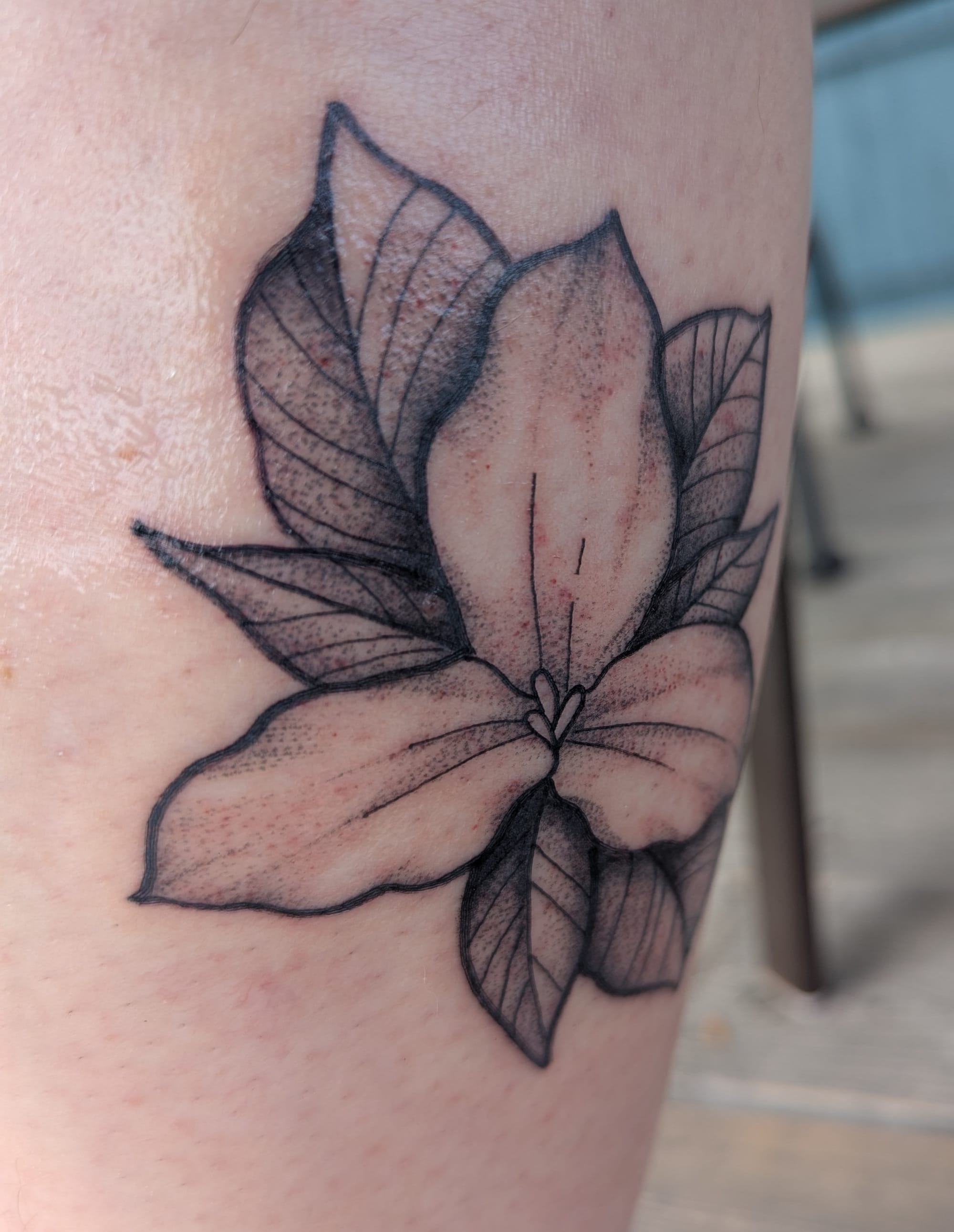 Close-up view of a freshly inked tattoo of a flower with three large petals, in black ink