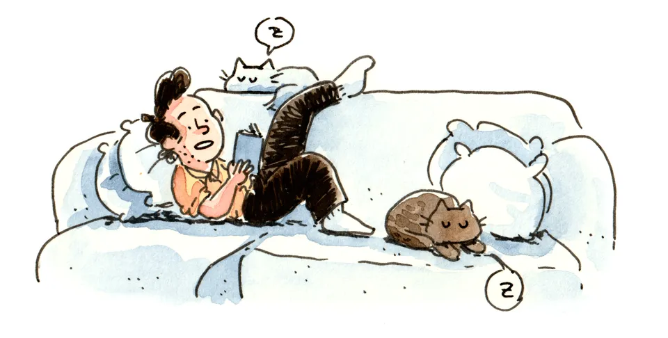 The cats yearn for non-fiction