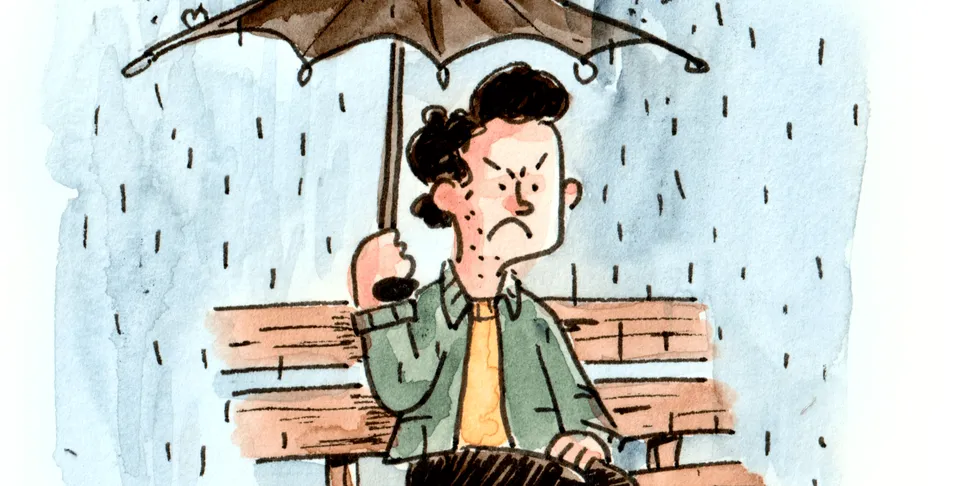 Diary Comics for the Cold and Miserable