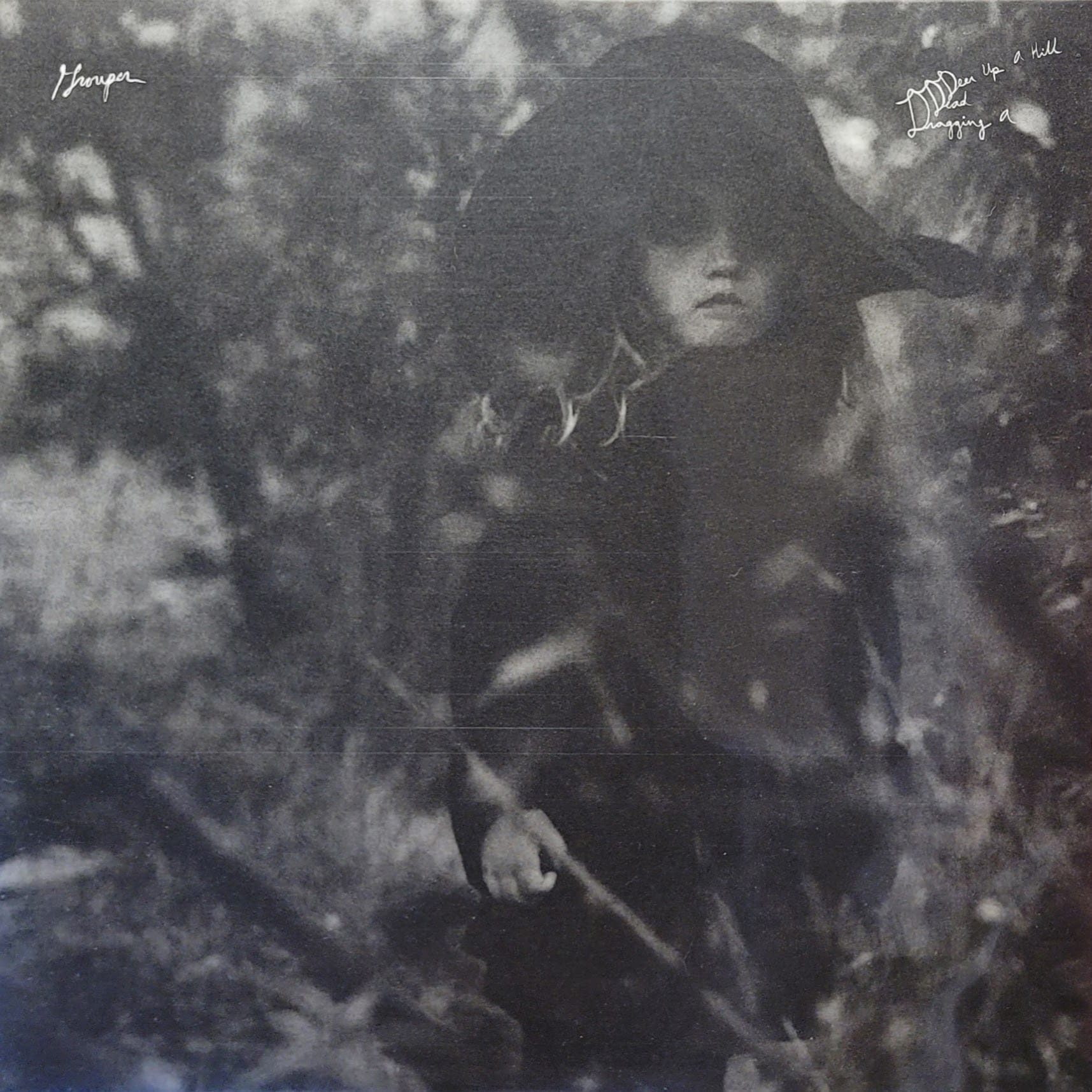 Grouper — Dragging a Dead Deer Up A Hill — Kranky