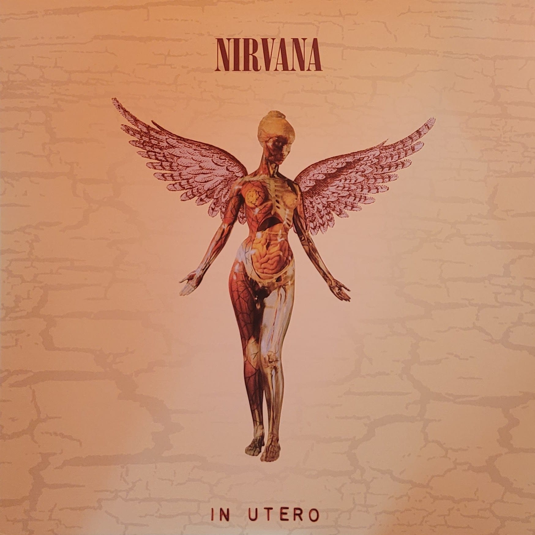 Nirvana — In Utero — 20th Anniversary