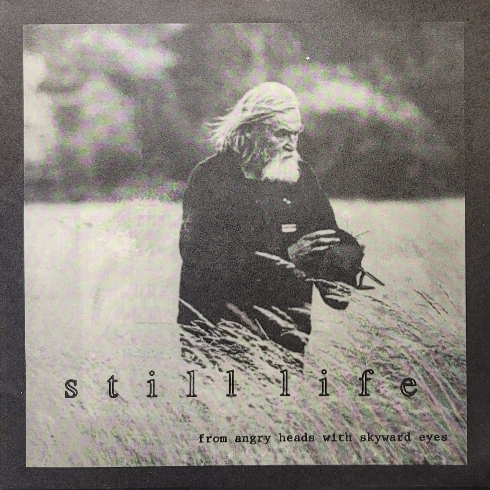 Still Life — From Angry Heads With Skyward Eyes — Original