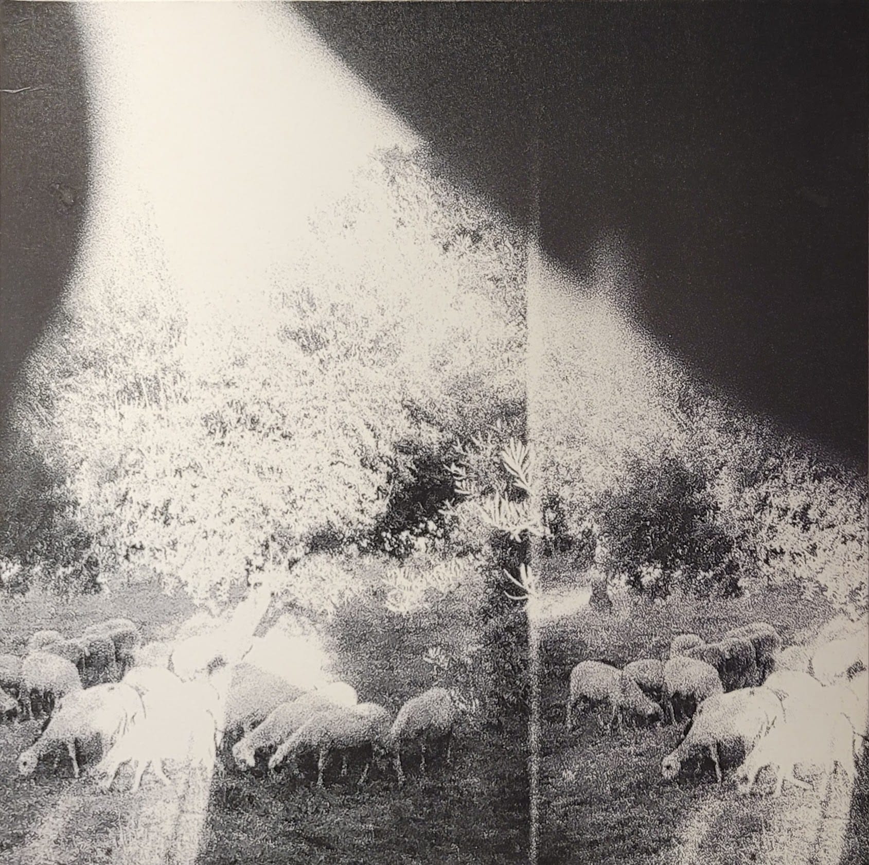 Godspeed You! Black Emperor - Asunder, Sweet And Other Distress - Original