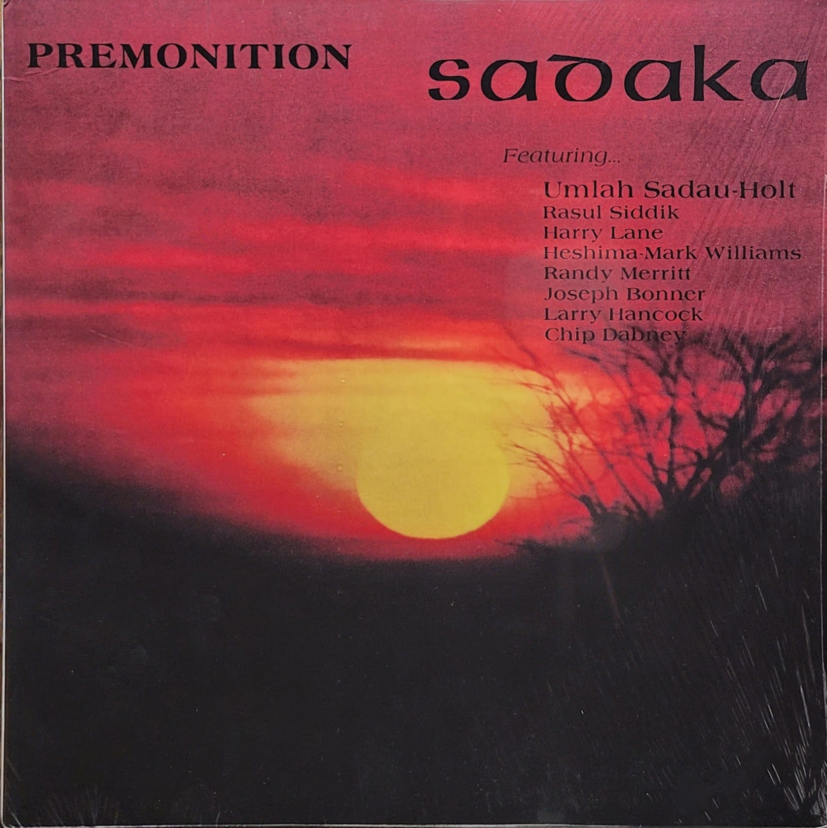 Sadaka Featuring Umlah Sadau-Holt, Rasul Siddik, Harry Lane, Heshima-Mark Williams, Randy Merritt, Joseph Bonner, Larry Hancock, Chip Dabney - Premonition - 2015