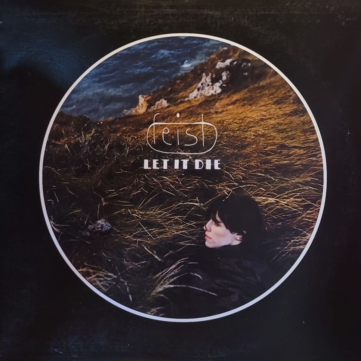 Feist — Let It Die — Original