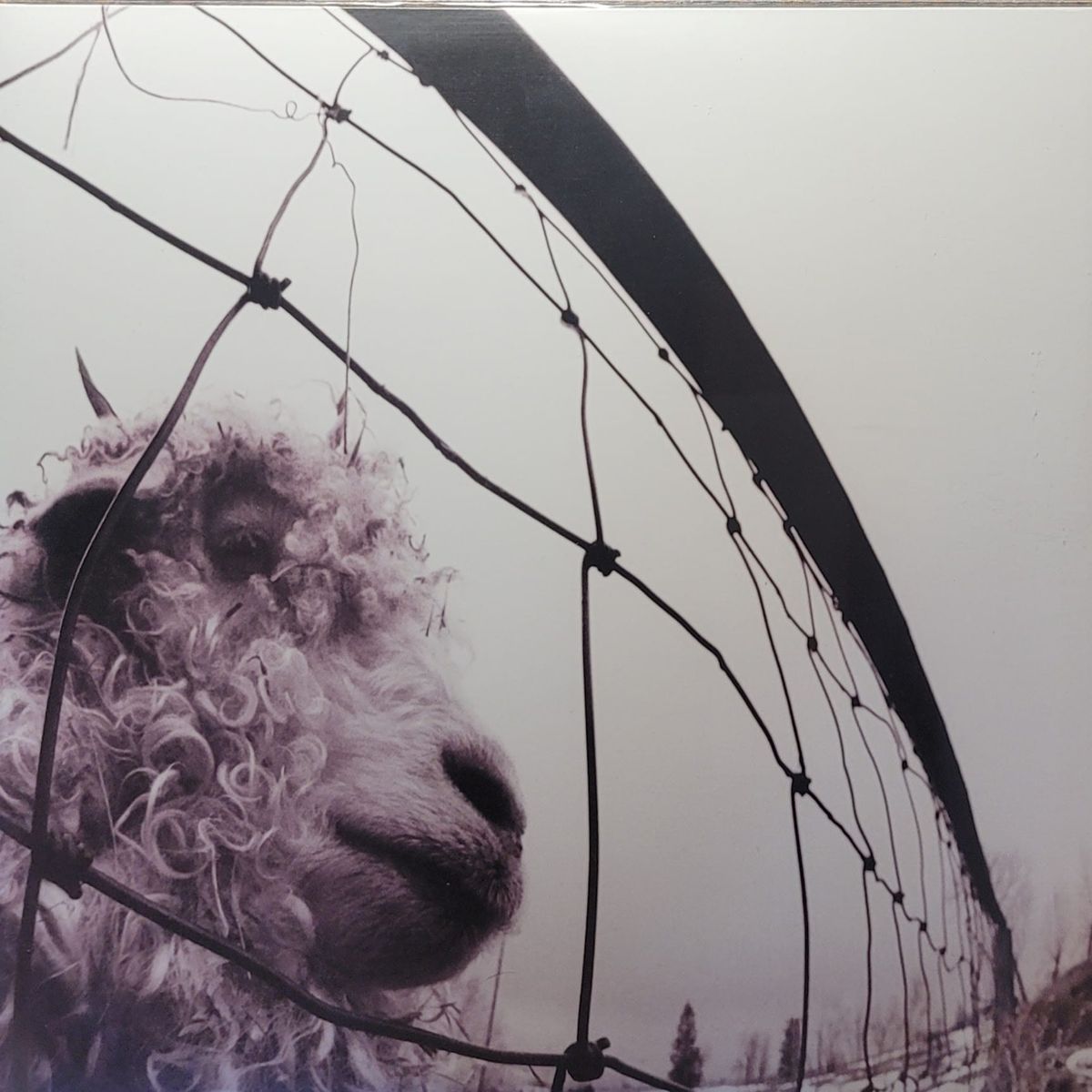 Pearl Jam — Vs. — 45RPM