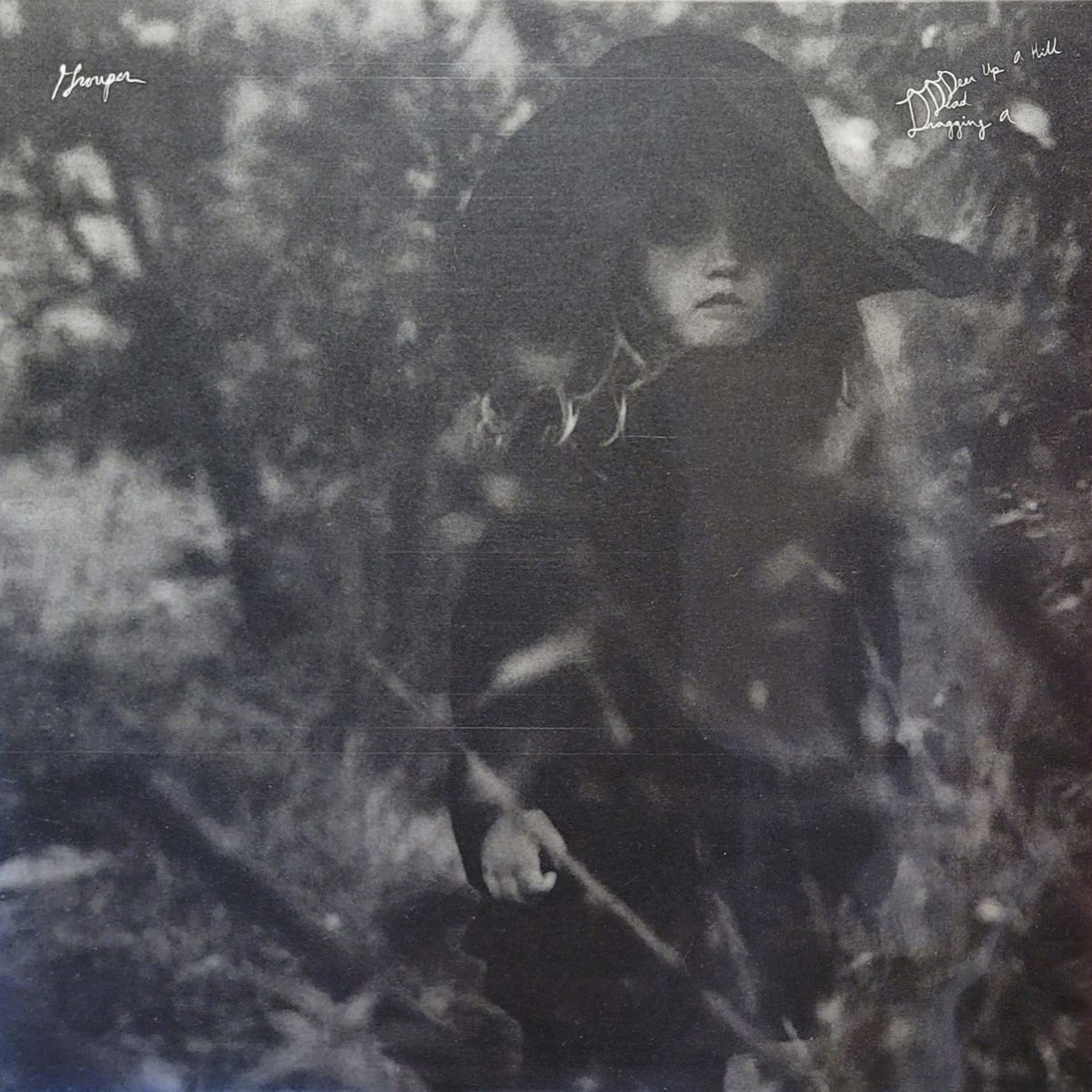 Grouper — Dragging a Dead Deer Up A Hill — Kranky